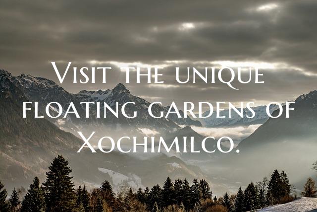 Visit the unique floating gardens of Xochimilco.