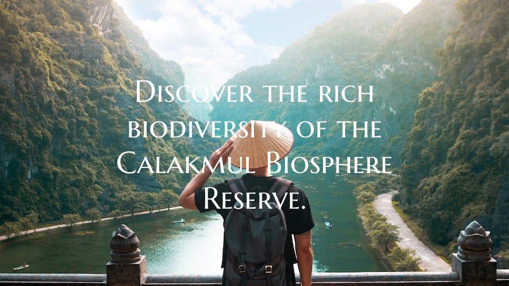 Discover the rich biodiversity of the Calakmul Bio...