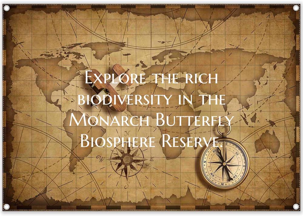 Explore the rich biodiversity in the Monarch Butte...